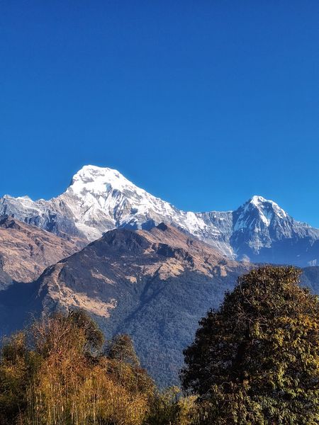 Majestic Himalayan Vista