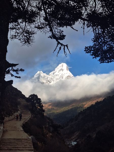 Himalayan Pathways