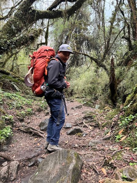 Jungle Trekking Bliss