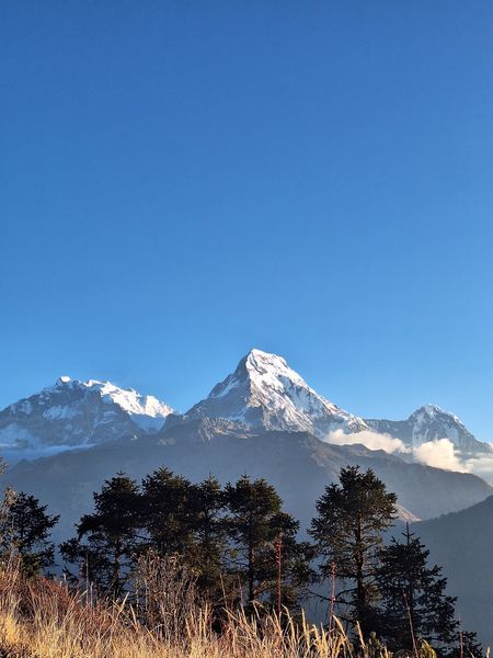 Majestic Himalayan Views