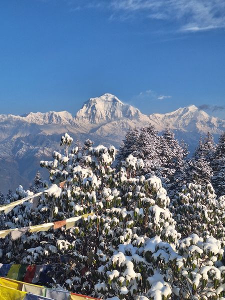 Majestic Himalayan Peaks