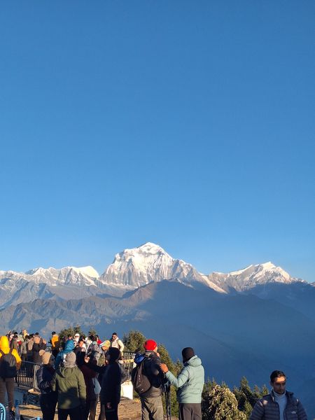 Majestic Himalayan Morning