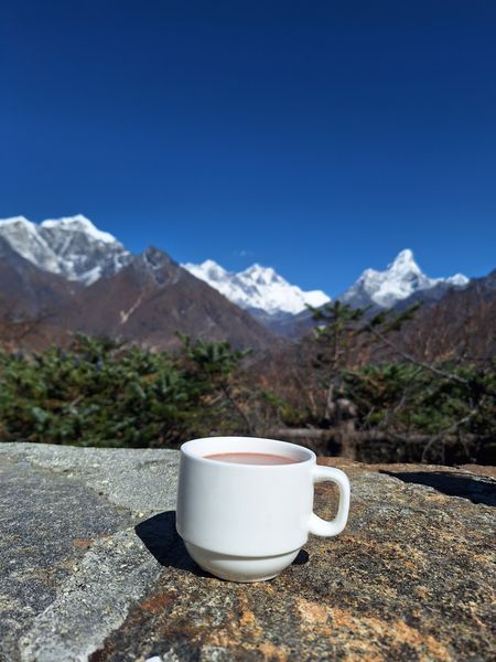 Himalayan Tea Retreat